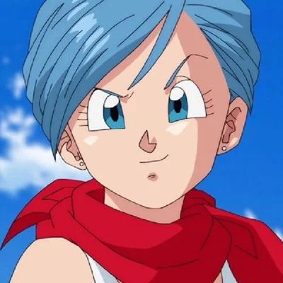 BULMA BRIEFS