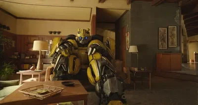 Bumblebee (Comfort)