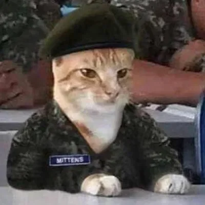 Cadet Mittens