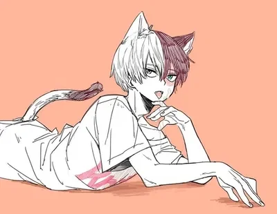Cat Shoto