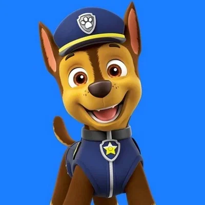 Chase da patrulha ca