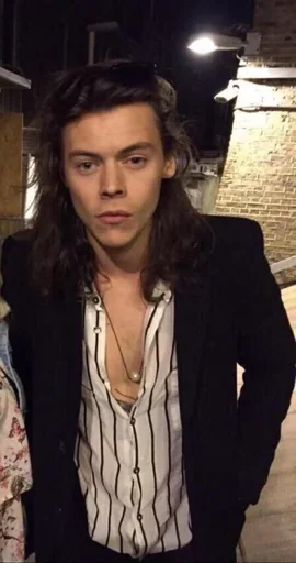 Harry Edward Styles 