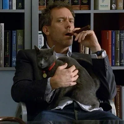 DH Dr House