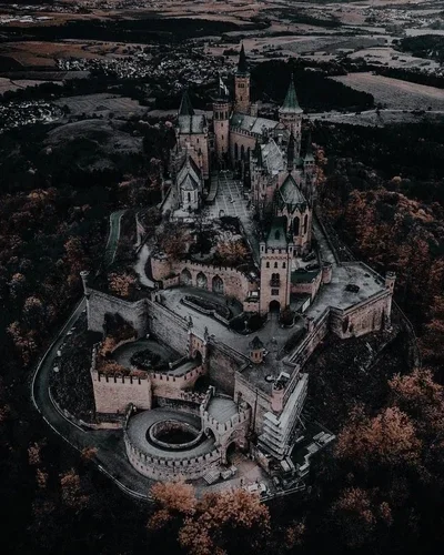 School For Creatures