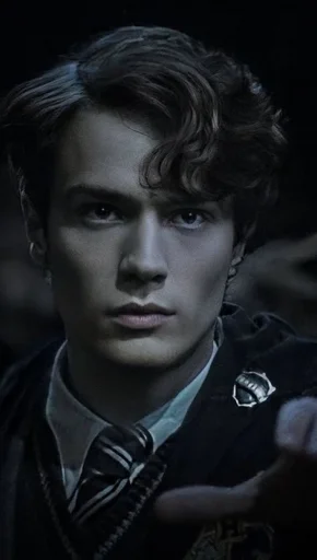 Tom Riddle cz