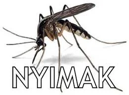 NYIMAK