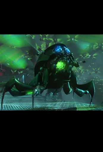Cy bugs 
