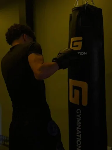boxer cz