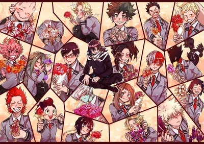 MHA - BR