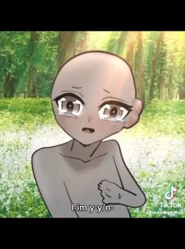 Y-N