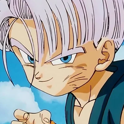 DB - TRUNKS BRIEFS 