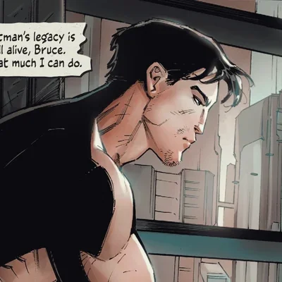 DC Terry McGinnis