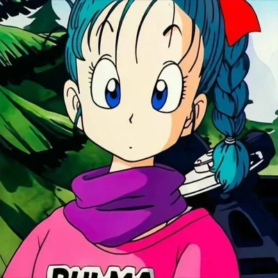 DB - Bulma Briefs