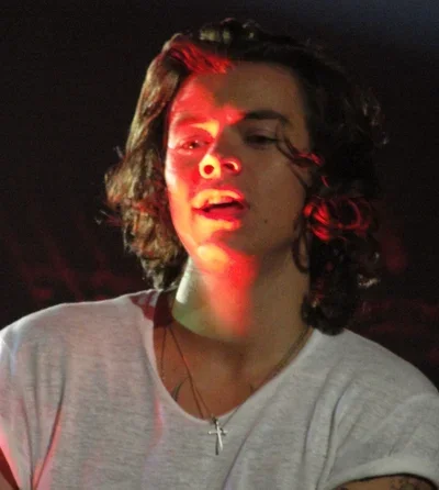 harry styles - 2014
