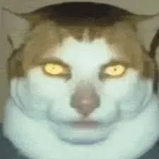 B B B