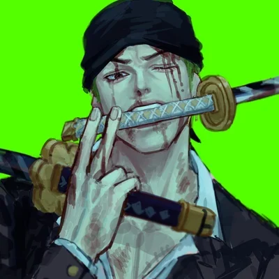 Zoro Dressrosa Arc
