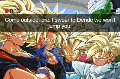 Pissed Z Fighters