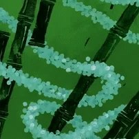 -Spongebob RPG