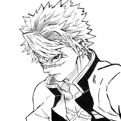 DS Sanemi S