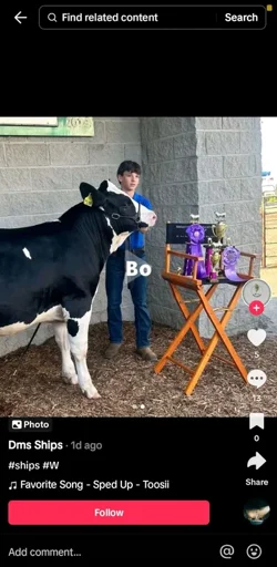 Bo Bo