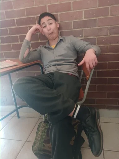 AQ the gay monkey
