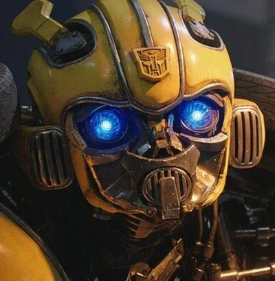 Bumblebee -BV-