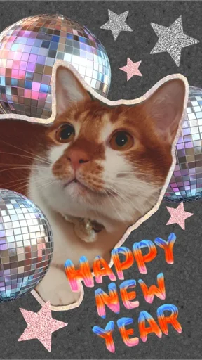 BB BB