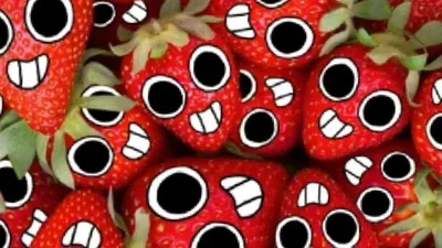 Sprout Seedly R-Au