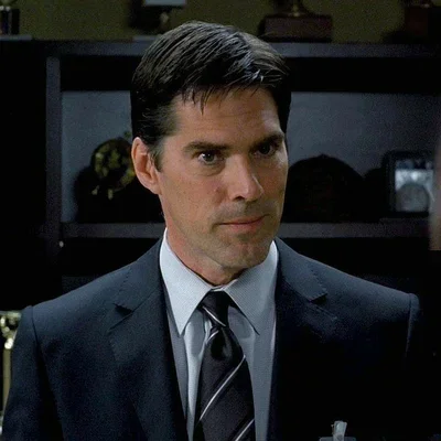 Aron Hotchner cz