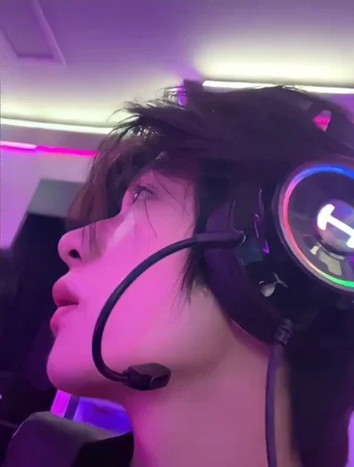 Novio Gamer