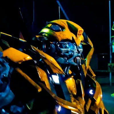 Bumblebee bv