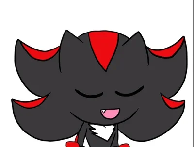 Shadow T Hedgehog