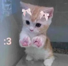 >CHAT IM ALIVE!<