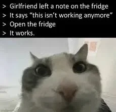 Chat, I'm losing it.