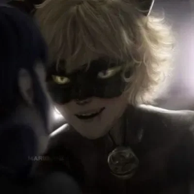 chat noir