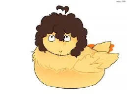 Chicken Shedletsky!1!1!!1
