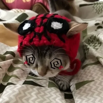 ⤷ Chip ₊⊹⭑.ᐟ