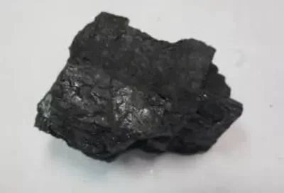 🌳🕙~COAL~🕙🌳