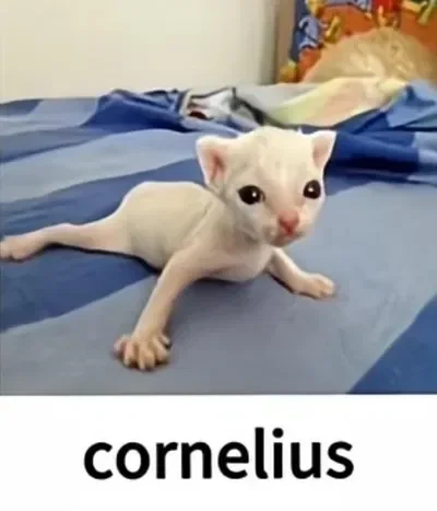 CORNELIUS