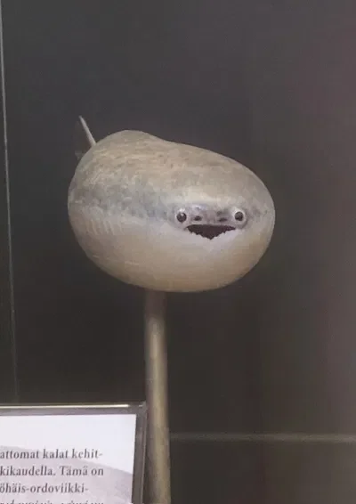 Corrupted Replika Series: INFO