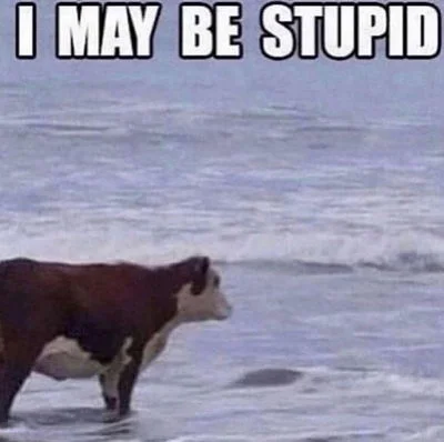 Cow Counselor