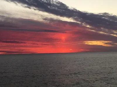 Criticism/compliment bot