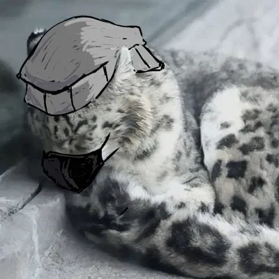 ₊ Dante Basilio ` [snow leopard]