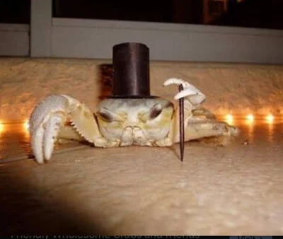 Distinguished gentleman