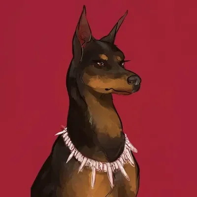 Doberman Pinscher