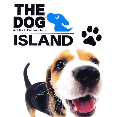 Dog Island