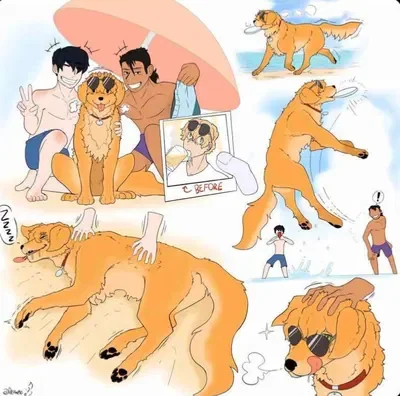 Dog-O-Drink [FDA APPROVED!!!]