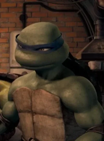 Donatello 2007  ˚ʚ⭐️ɞ˚