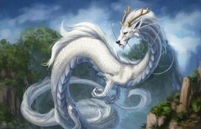 Dragon Reincarnation