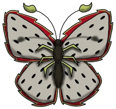 Dragonfruit Butterfly
